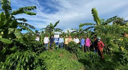 CẢNH QUAN VỀ SẢN XUẤT CÀ PHÊ BỀN VỮNG, PHÁT TRIỂN SINH KẾ VÀ NÔNG NGHIỆP TÁI SINH