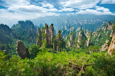 TOUR DU LỊCH TRƯƠNG GIA GIỚI - PHƯỢNG HOÀNG CỔ TRẤN ( THÁNG 9, 10, 11)