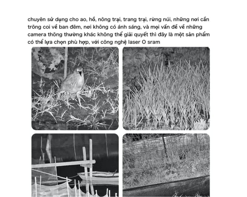 Camera chuyên đêm dành cho ao, trang trại, rừng núi, kho bãi, nơi không ánh sáng, tích hợp tự động quay quét, tự động phóng to khi có người, chụp ảnh báo động, tuần tra quay vô hạn, bản wifi không dây/có dây