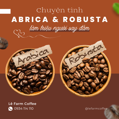 CHUYỆN TÌNH CỦA CHÀNG ROBUSTA VÀ NÀNG ARABICA LÀM TRIỆU NGƯỜI SAY ĐẮM