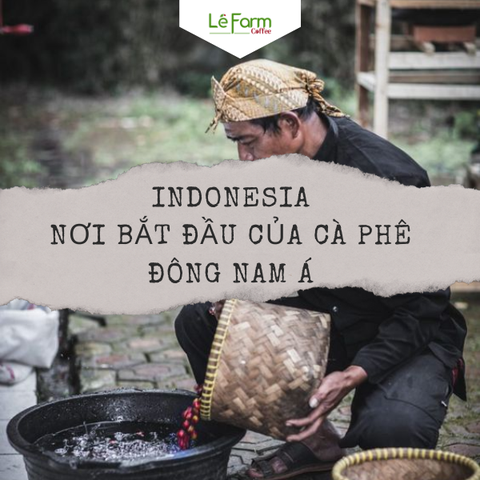 INDONESIA - NƠI BẮT ĐẦU CỦA CÀ PHÊ ĐÔNG NAM Á