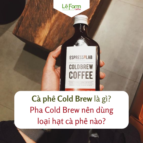 Cà phê Cold Brew là gì? Pha Cold Brew nên dùng loại hạt cà phê nào?