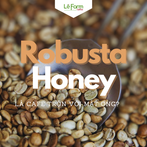 ROBUSTA HONEY CÓ PHẢI LÀ CÀ PHÊ KẾT HỢP VỚI MẬT ONG ?
