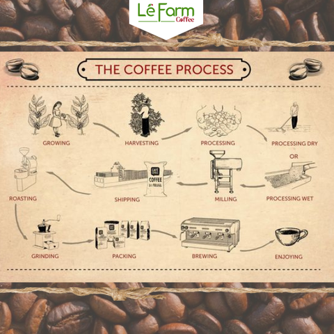 HÀNH TRÌNH TỪ HẠT ĐẾN TÁCH CAFE