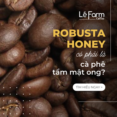 CÀ PHÊ ROBUSTA HONEY CÓ PHẢI LÀ CÀ PHÊ TẨM MẬT ONG?