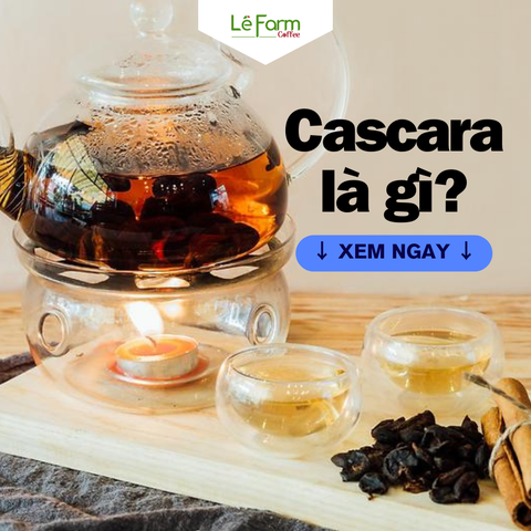 CASCARA - Từ vỏ cà phê Việt Nam trở thành thức uống hảo hạng
