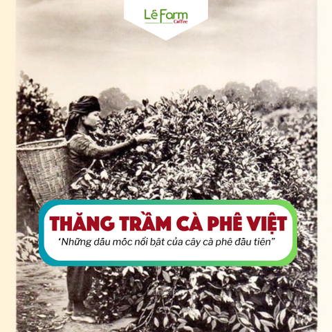 THĂNG TRẦM CÀ PHÊ VIỆT - LỊCH SỬ CÀ PHÊ VIỆT NAM