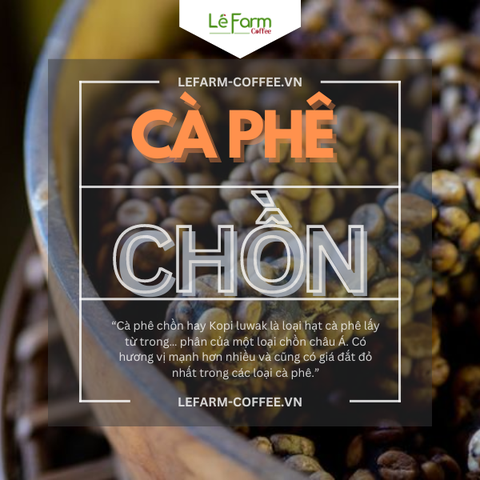 CÀ PHÊ CHỒN - VẤN ĐỀ ĐẠO ĐỨC SAU NHỮNG LY CÀ PHÊ CHỒN