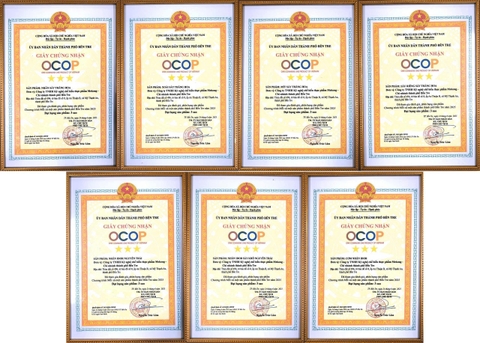 Công ty TNHH Kỹ nghệ Chế biến Thực phẩm Mekong đạt 7 Chứng nhận OCOP 3 Sao