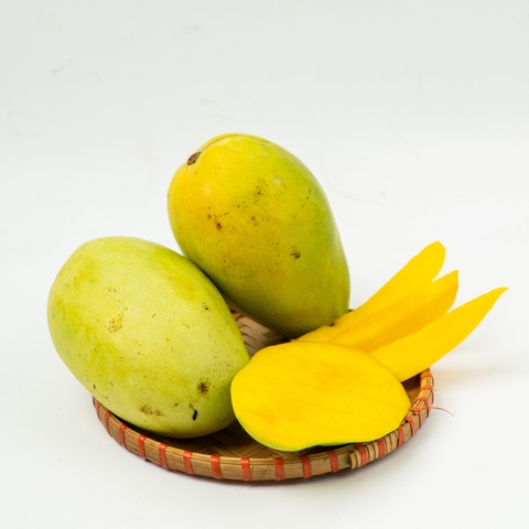 Xoài Tứ Quý Bến Tre