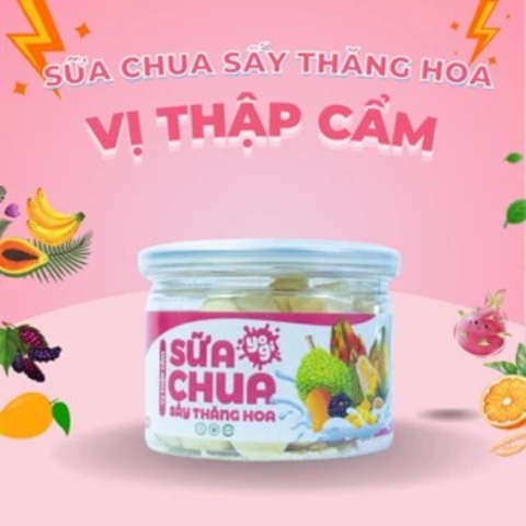 Sữa chua sấy thăng hoa vị thập cẩm
