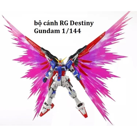 Bộ Cánh effect RG Destiny Gundam