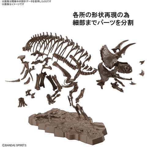 Mô hình lắp ráp 1/32 Imaginary Skeleton Triceratops Bandai 4573102618016