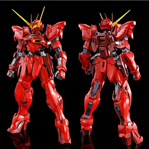 Mô hình lắp ráp P-BANDAI MG 1/100 TESTAMENT GUNDAM