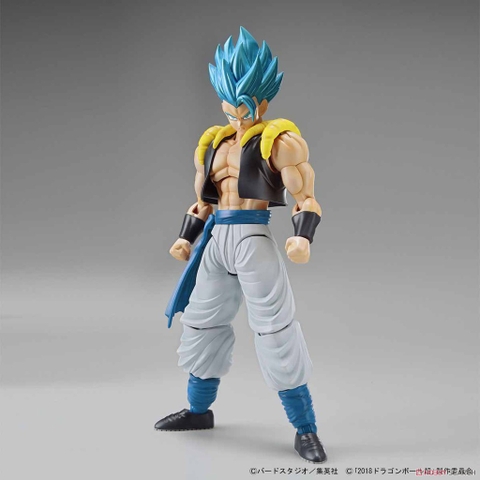 Mô hình lắp ráp Figure-rise Standard Super Saiyan God Super Saiyan Gogeta Plastic model Bandai 580 - Dragonball Z