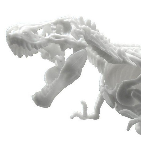 Mô Hình Lắp Ráp Bandai Dinosaur Model Kit Limex Skeleton Tyrennosaurus 4573102616593 (Plastic Model)