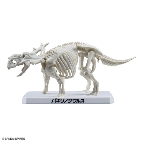 MÔ HÌNH LẮP RÁP PLANNOSAURUS PACHYRHINOSAURUS BANDAI 4573102742483