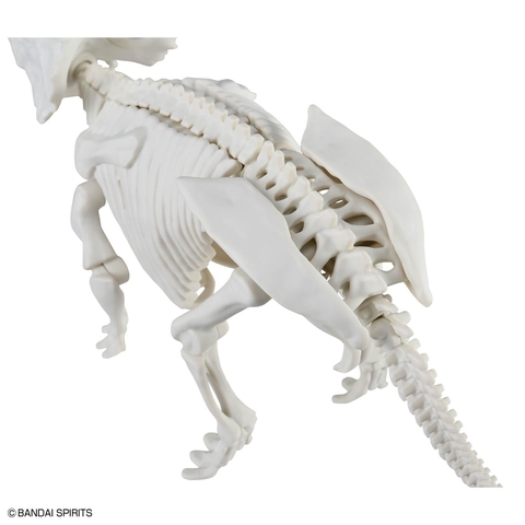 MÔ HÌNH LẮP RÁP PLANNOSAURUS PACHYRHINOSAURUS BANDAI 4573102742483