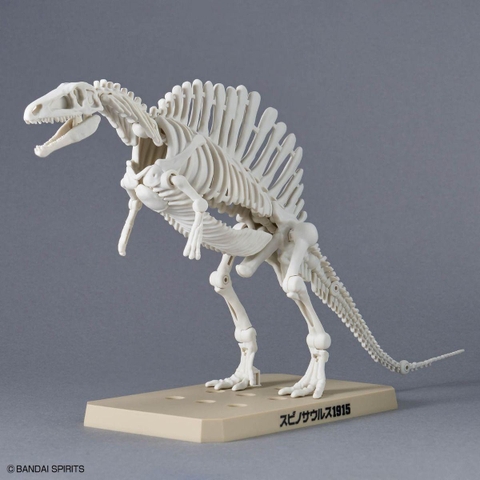 MÔ HÌNH LẮP RÁP PLANNOSAURUS SPINOSAURUS 1915 BANDAI 4573102742452