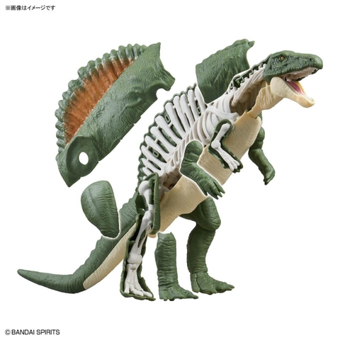 MÔ HÌNH LẮP RÁP PLANNOSAURUS SPINOSAURUS 1915 BANDAI 4573102742452