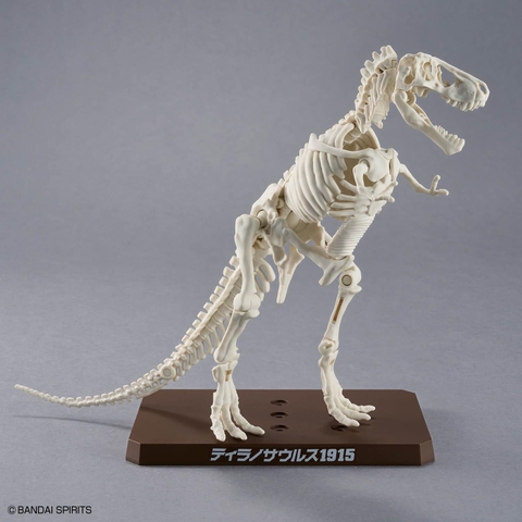 MÔ HÌNH LẮP RÁP PLANNOSAURUS TYRANNOSAURUS 1915 BANDAI 4573102742469