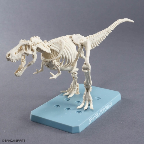 MÔ HÌNH LẮP RÁP PLANNOSAURUS TYRANNOSAURUS SNOWFALL AREA VER. BANDAI 4573102742445