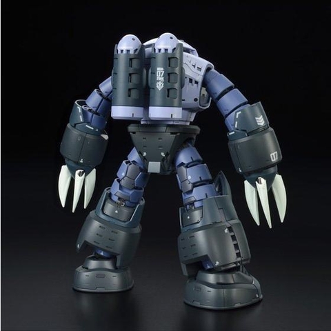 Mô Hình Lắp Ráp RG MSM-07 ZGOK P-BANDAI Limited