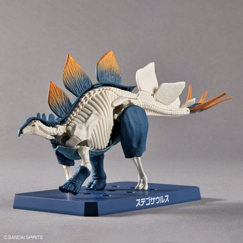 Mô Hình Lắp Ráp PLANNOSAURUS STEGOSAURUS Bandai 4573102651105