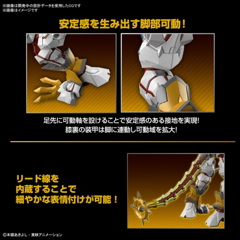 Mô Hình Lắp Ráp Figure-rise Standard Amplified SHINEGREYMON Bandai 4573102653246