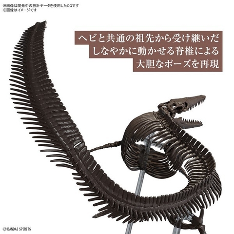 Mô Hình Lắp Ráp Bandai 1/32 Imaginary Skeleton Mosasaurus 4573102654281 (Plastic Model)