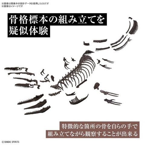 Mô Hình Lắp Ráp Bandai 1/32 Imaginary Skeleton Mosasaurus 4573102654281 (Plastic Model)
