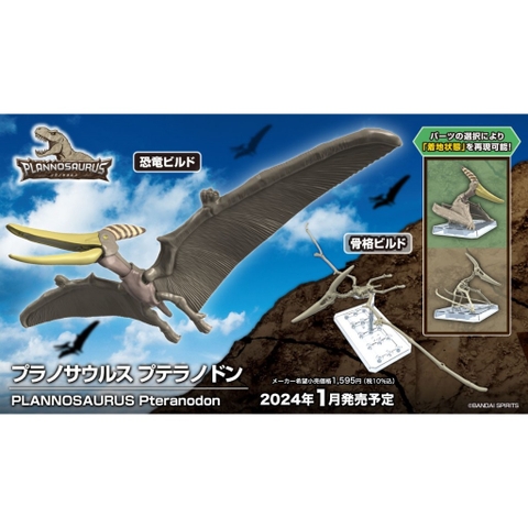 Mô hình lắp ráp PLANNOSAURUS Pteranodon Bandai 4573102662828