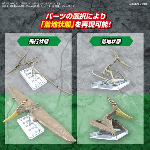 Mô hình lắp ráp PLANNOSAURUS Pteranodon Bandai 4573102662828