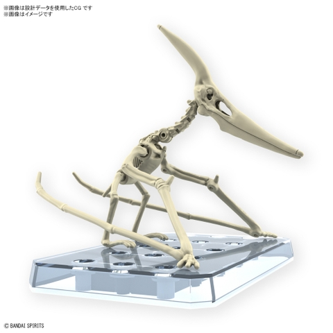 Mô hình lắp ráp PLANNOSAURUS Pteranodon Bandai 4573102662828