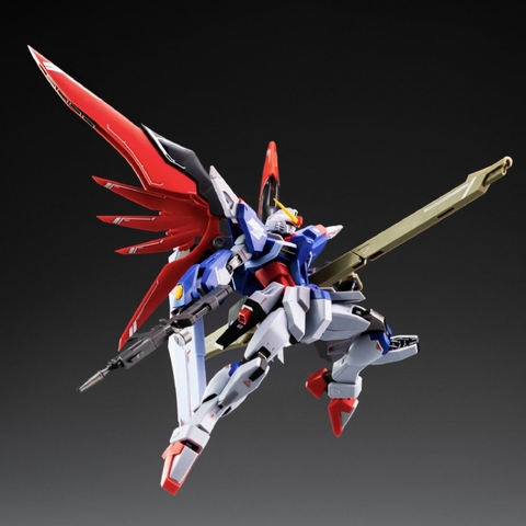 [Chuẩn bị mở Pre Quý 1/2025] Mô Hình Lắp Ráp HG  1/144 Destiny Gundam Khung Kim Loại (Metal Robot Spirits)