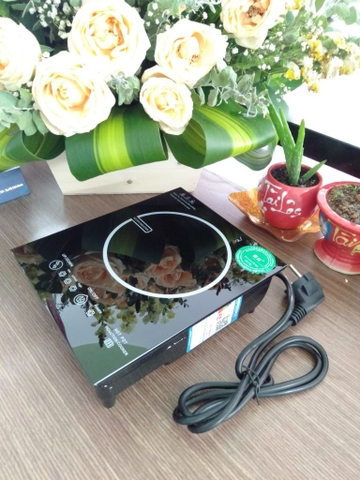 Bếp từ A4-800C