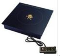 Bếp từ QL300C20