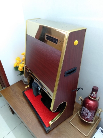 Máy đánh giày G-11