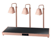 Đèn hâm nóng thức ăn 3 bóng- có bảng điều khiển 121253