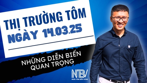 Bản tin thị trường tôm - ngày 14.03.25- Những diễn biến quan trọng! 