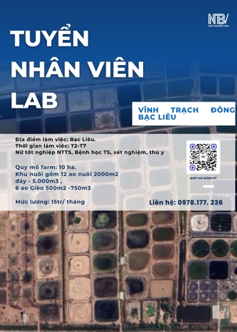 Tuyển dụng nữ nhân viên LAB farm nuôi tôm tại Bạc Liêu
