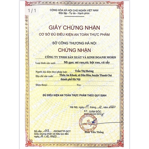 Phở Rau Củ Đa Sắc - Không Phẩm Màu - Thuận Lành