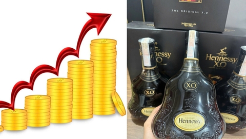 Top Các Loại Rượu Ngoại Càng Để Lâu Càng Có Giá Trị Cao