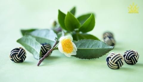 Trà bạch mẫu đơn - cùng tìm hiểu nhé!
