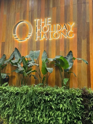 Hướng Dẫn Check-in Và Check-out Căn Hộ The Holiday Bãi Cháy Từ A-Z 2026