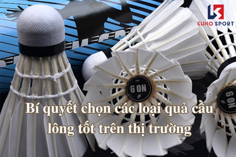 Bí quyết chọn các loại quả cầu lông tốt trên thị trường