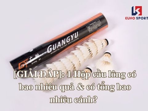 [GIẢI ĐÁP]: 1 Hộp cầu lông có bao nhiêu quả và có tổng bao nhiêu cánh?