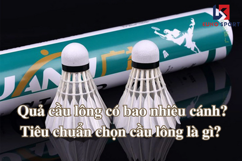 Quả cầu lông có bao nhiêu cánh? Tiêu chuẩn chọn cầu lông là gì?