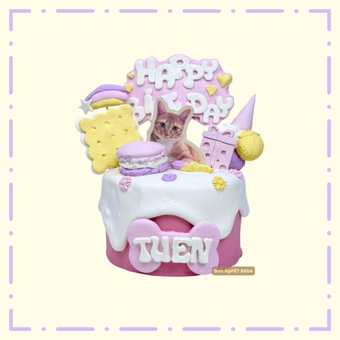 BÁNH FONDANT MẪU 11