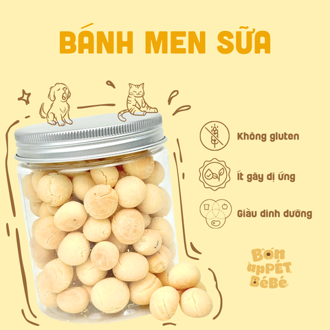 BÁNH MEN SỮA